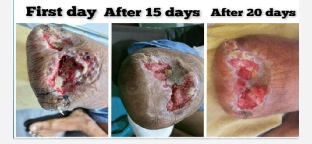 WhatsApp Image 2023-05-07 at 9.11.22 AM (2)